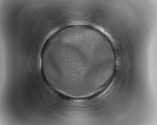 X0000095131221200712211323