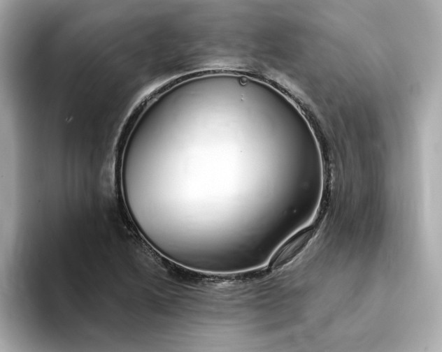 X0000095131222200712211323