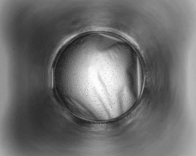 X0000095131223200712211323