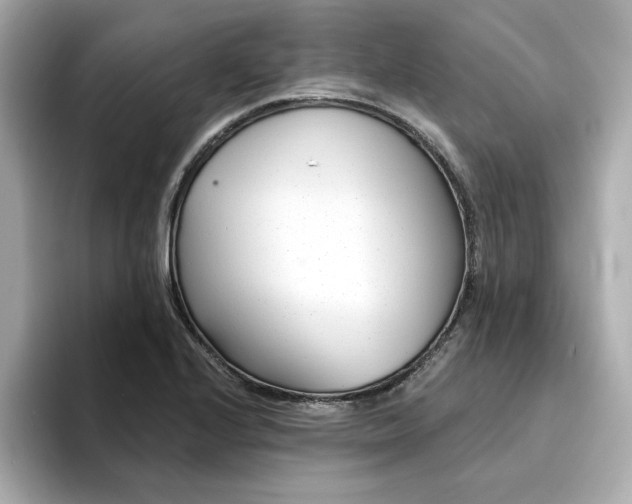 X0000095131224200712211323