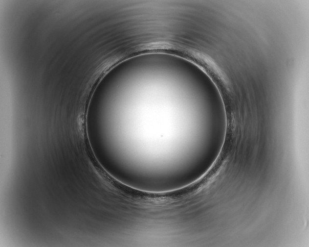 X0000095131225200712211323