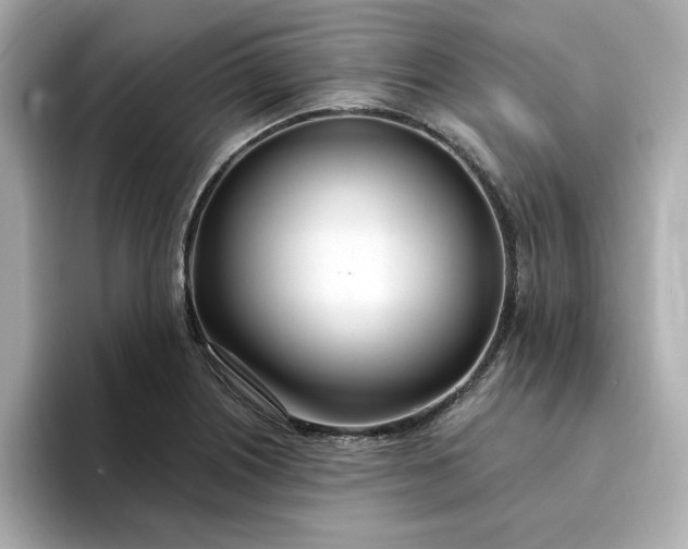 X0000095131226200712211323