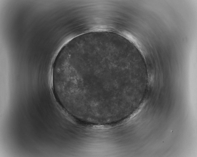 X0000095131227200712211323