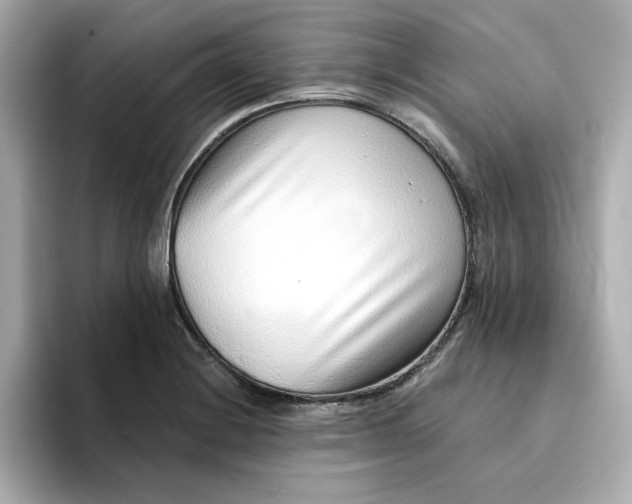 X0000095131228200712211323