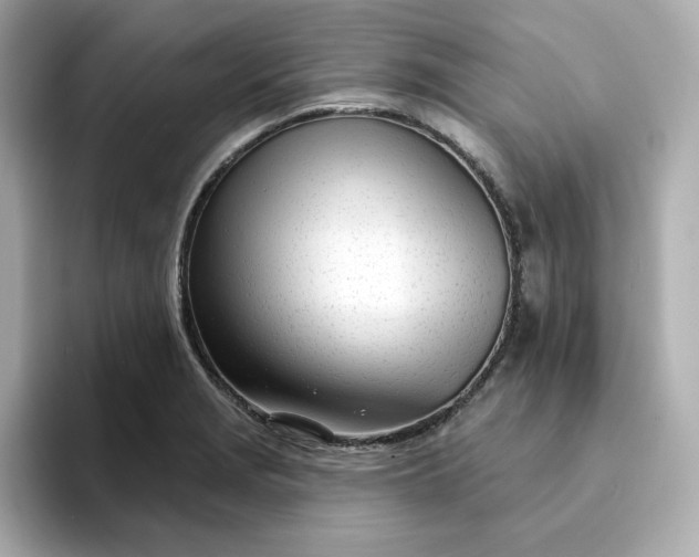 X0000095131229200712211323