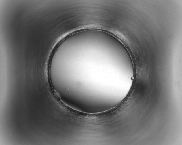 X0000095131230200712211323