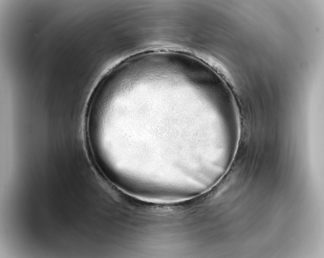 X0000095131231200712211323