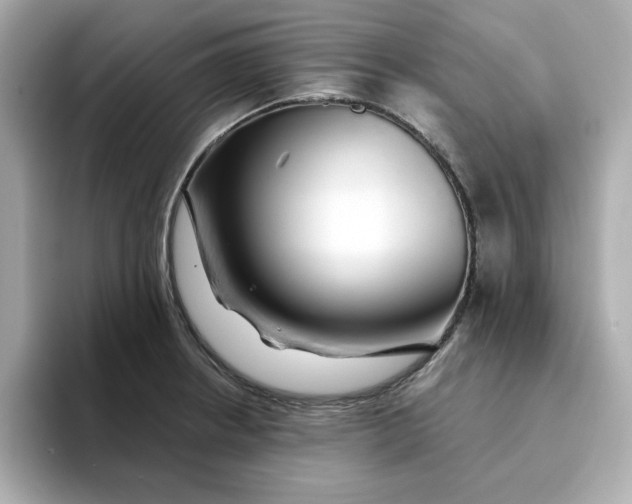 X0000095131234200712211323