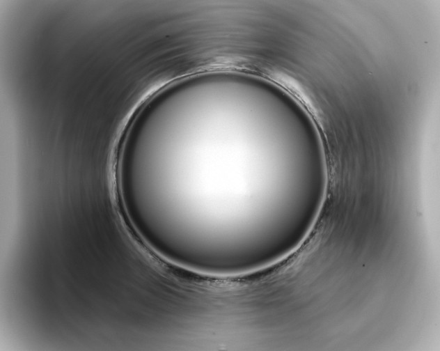 X0000095131235200712211323