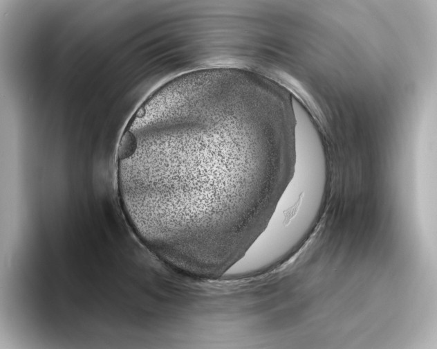 X0000095131236200712211323