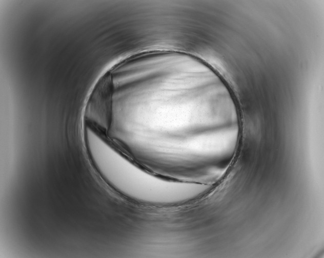 X0000095131238200712211323