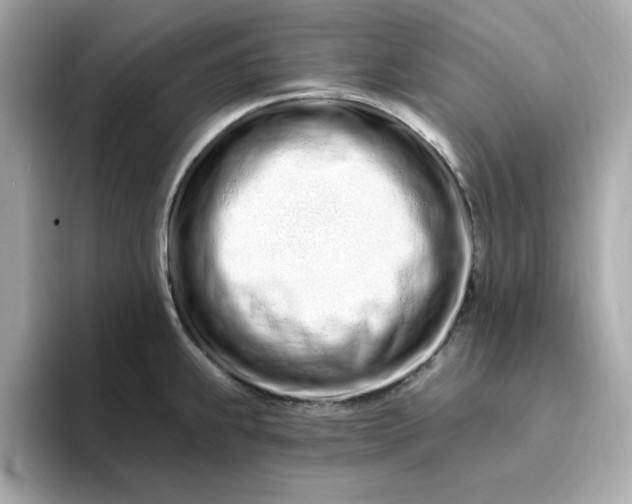 X0000095131239200712211323