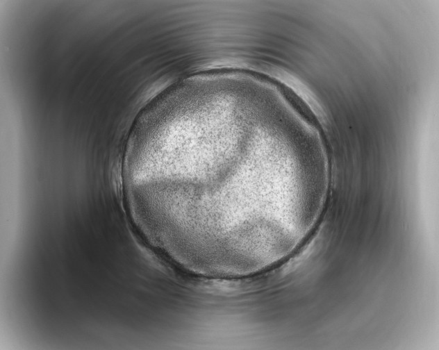 X0000095131241200712211323