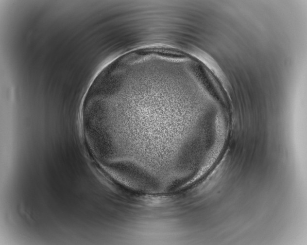 X0000095131242200712211323