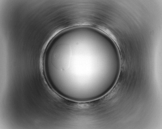 X0000095131243200712211323