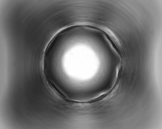 X0000095131244200712211323