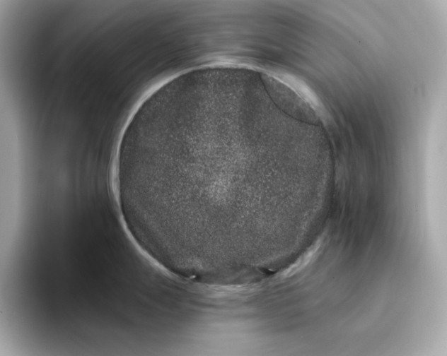 X0000095131247200712211323