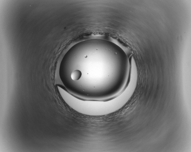 X0000095131249200712211323