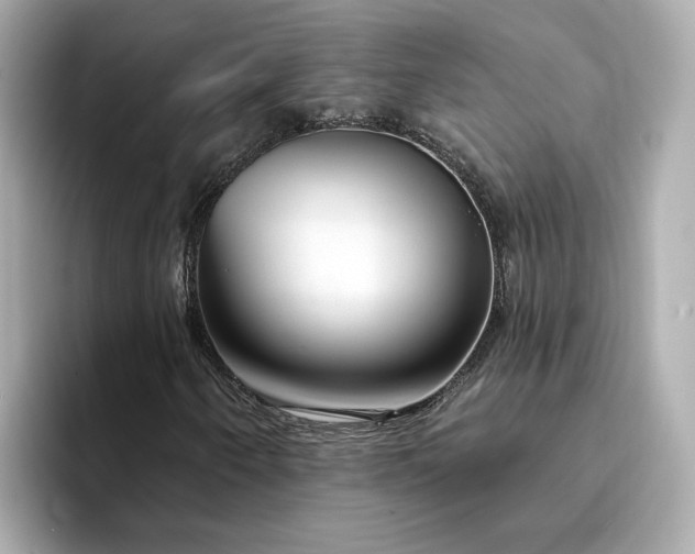 X0000095131250200712211323