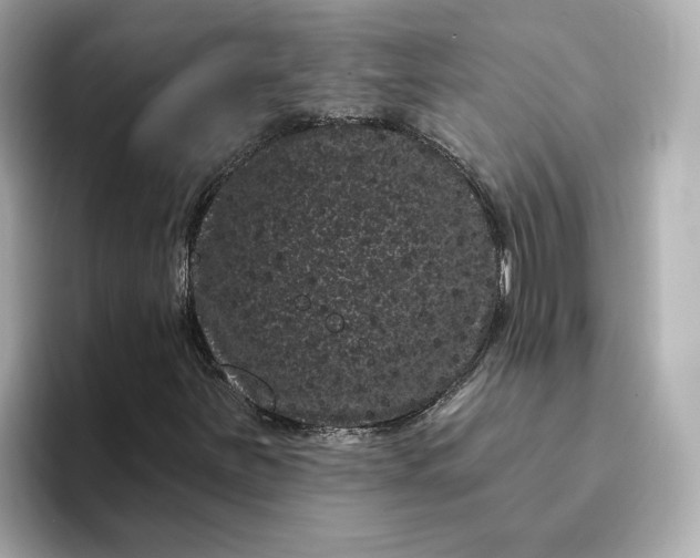 X0000095131251200712211323