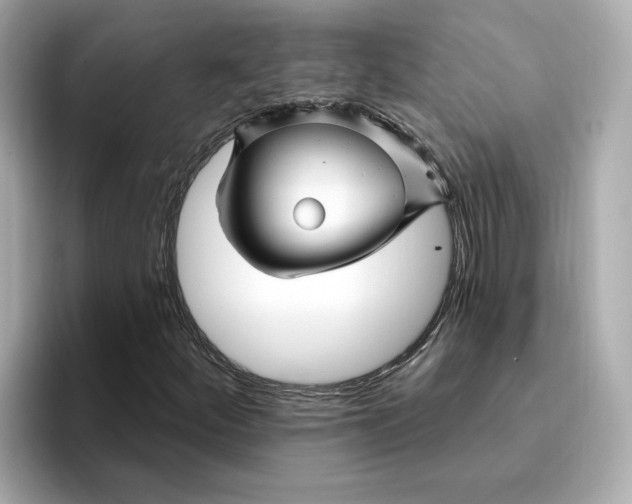 X0000095131252200712211323