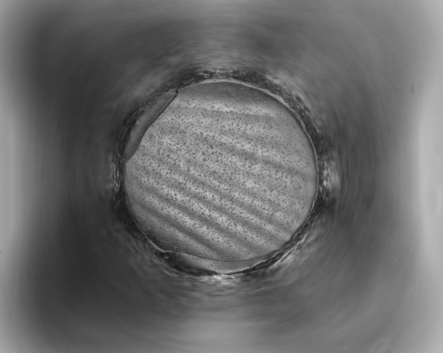 X0000095131253200712211323