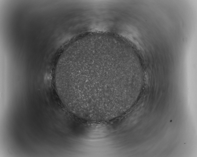 X0000095131254200712211323