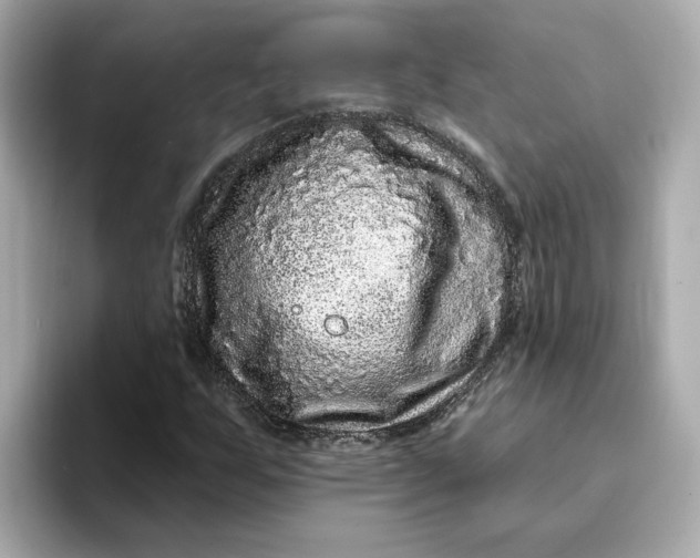 X0000095131255200712211323