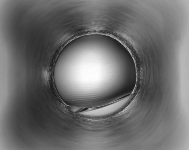 X0000095131257200712211323