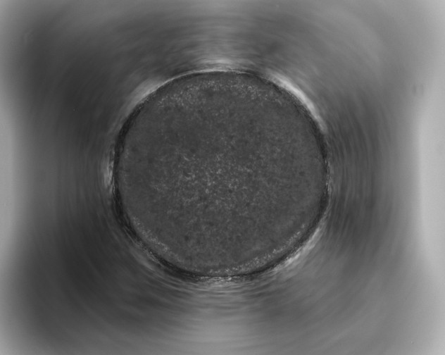 X0000095131259200712211323