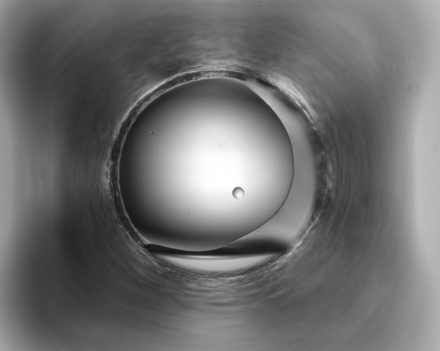 X0000095131260200712211323