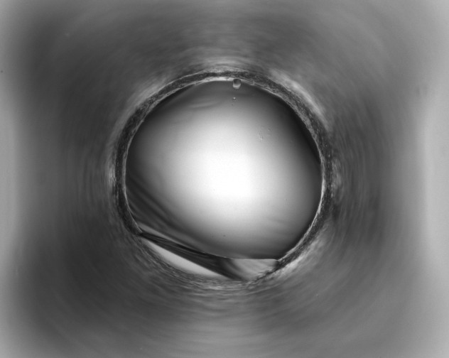 X0000095131261200712211323