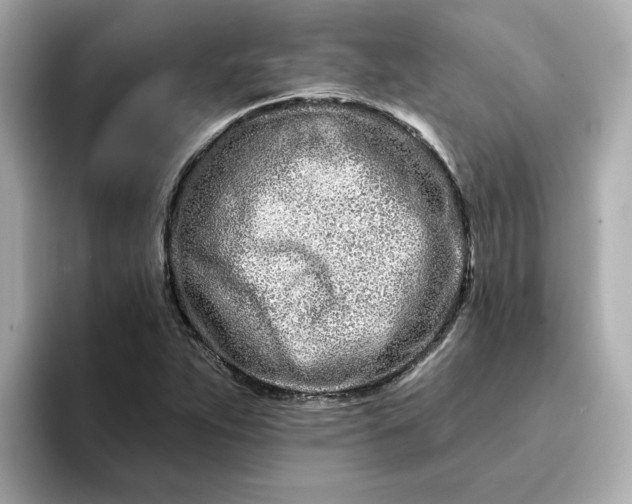 X0000095131263200712211323