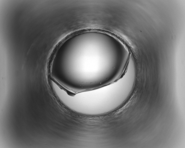 X0000095131264200712211323