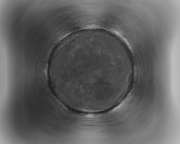 X0000095131265200712211323