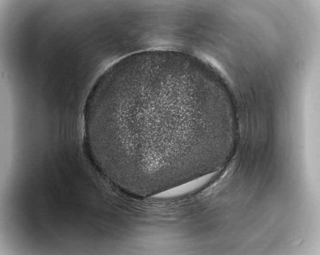 X0000095131267200712211323