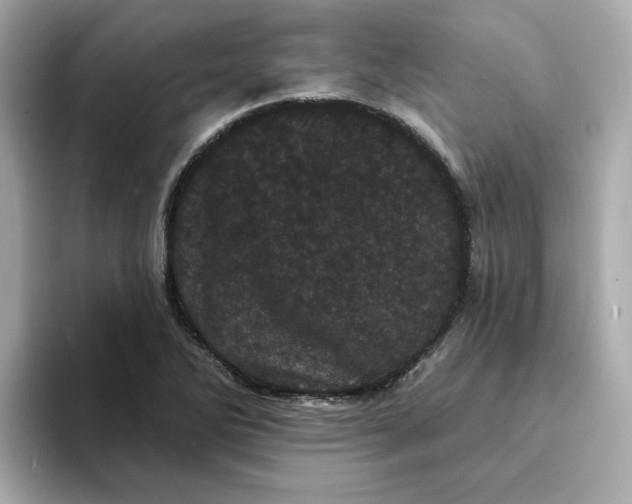 X0000095131270200712211322