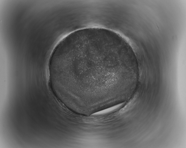 X0000095131271200712211322