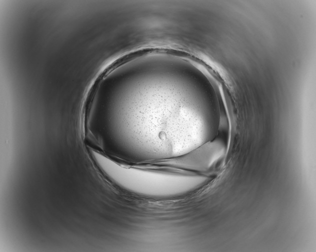 X0000095131272200712211322