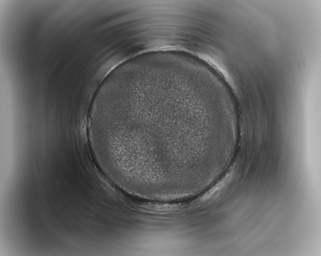 X0000095131273200712211322