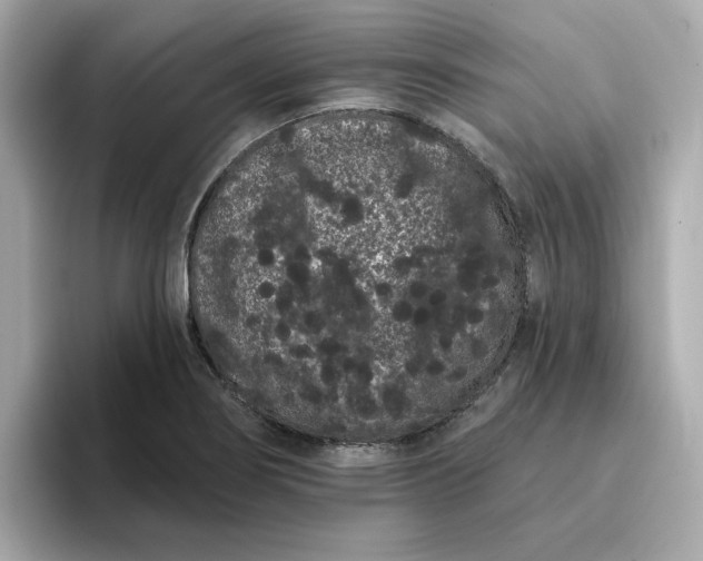 X0000095131274200712211322