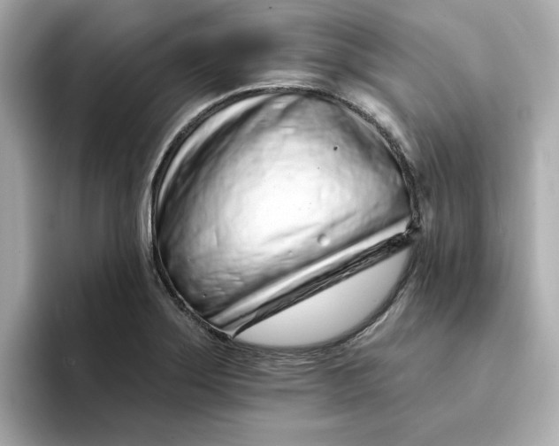 X0000095131275200712211322