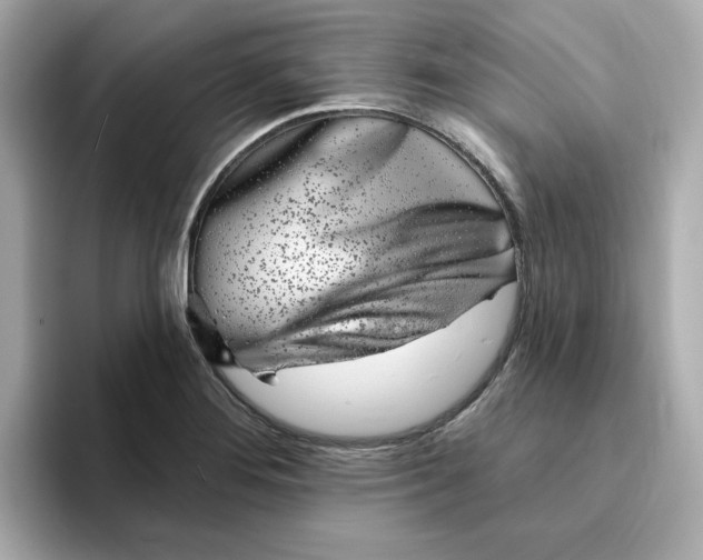 X0000095131276200712211322