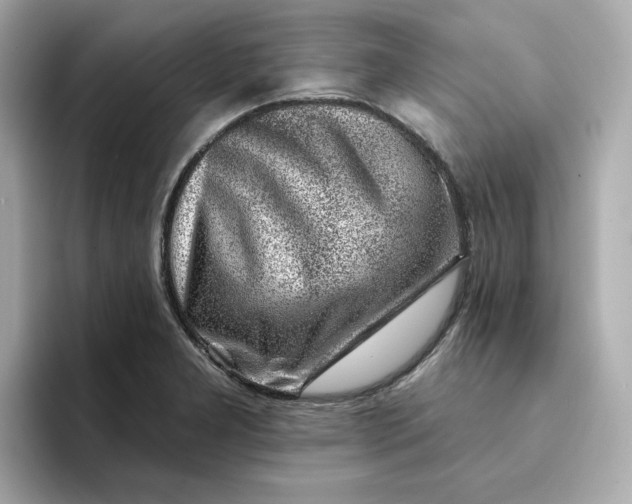 X0000095131277200712211322