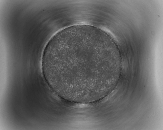 X0000095131278200712211322