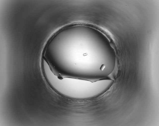 X0000095131279200712211322