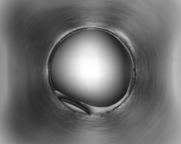 X0000095131280200712211322