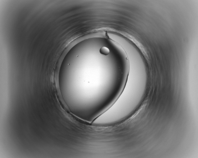 X0000095131281200712211322