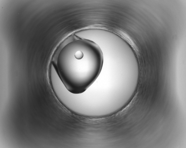 X0000095131284200712211322