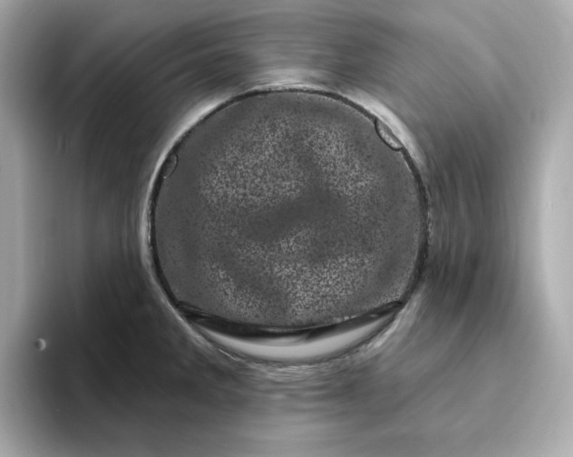 X0000095131285200712211322